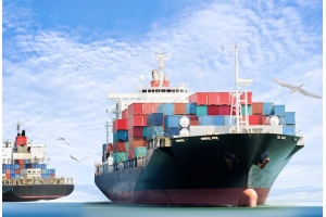 干花在國際快遞中的運輸路線選擇有何注意事項?