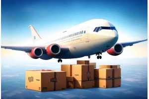 DHL宣布2025年全球服務價格上漲，跨境電商賣家該如何應對物流成本上漲?