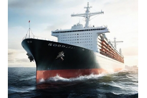 海運到加拿大多少錢一公斤?揭秘海運運費的計算因素!