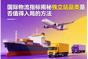 國際物流指標揭秘獨立站品類是否值得入局的方法