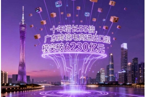 十年增長55倍，廣東跨境電商進出口規模突破6230億元